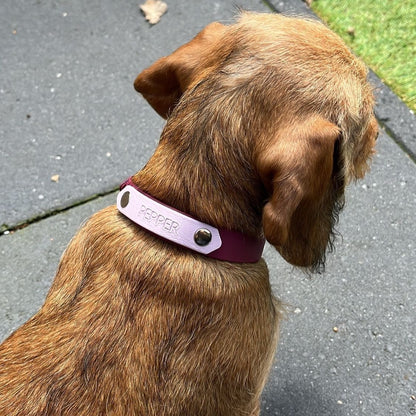 Dog collar with nameplate BioThane | Lexie