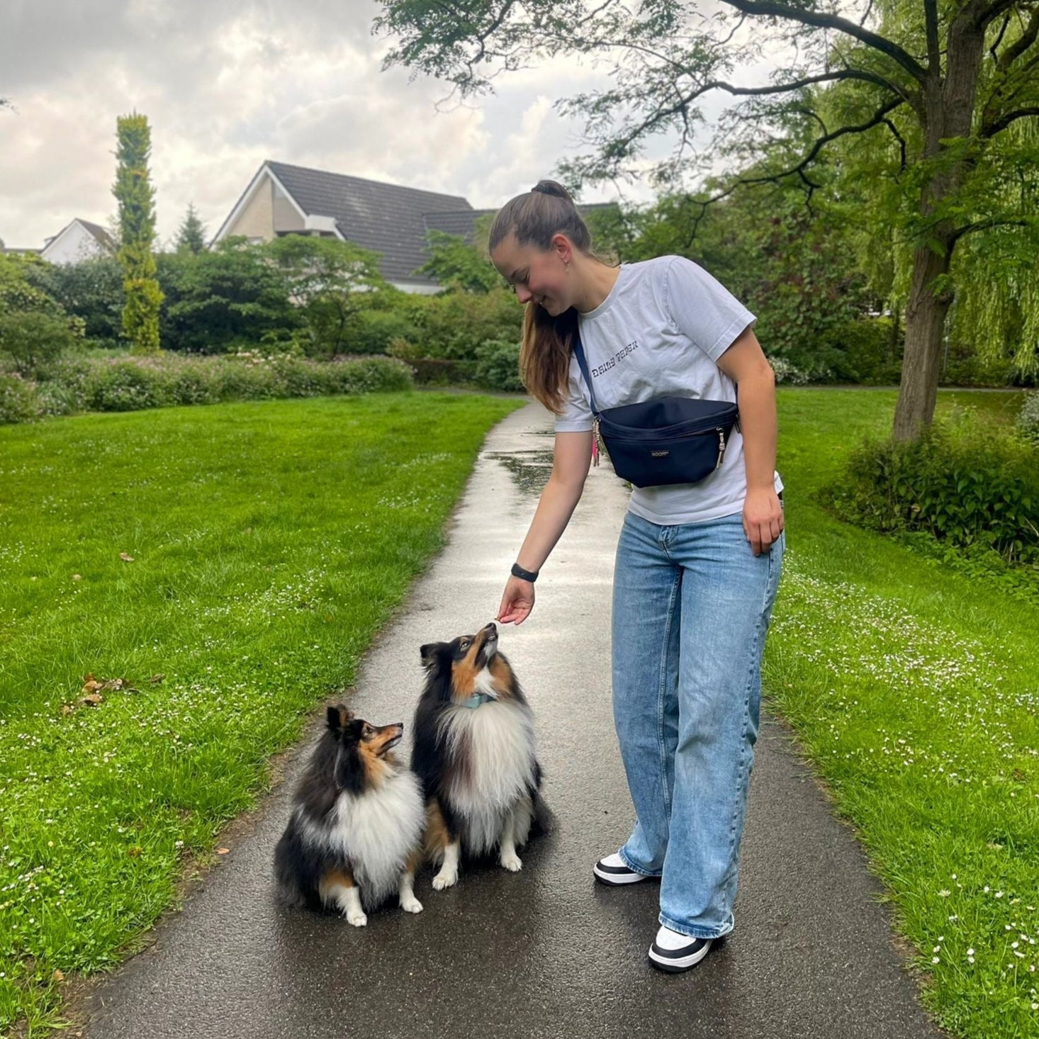 Hunde-Hüfttasche mit separatem Snackfach | Dunkelblau