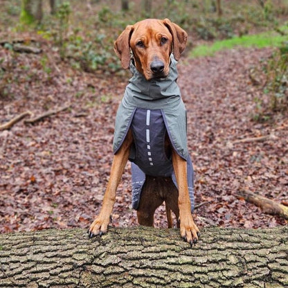 Ridgeback draagt hondenregenjas maat 70 non-stopdogwear