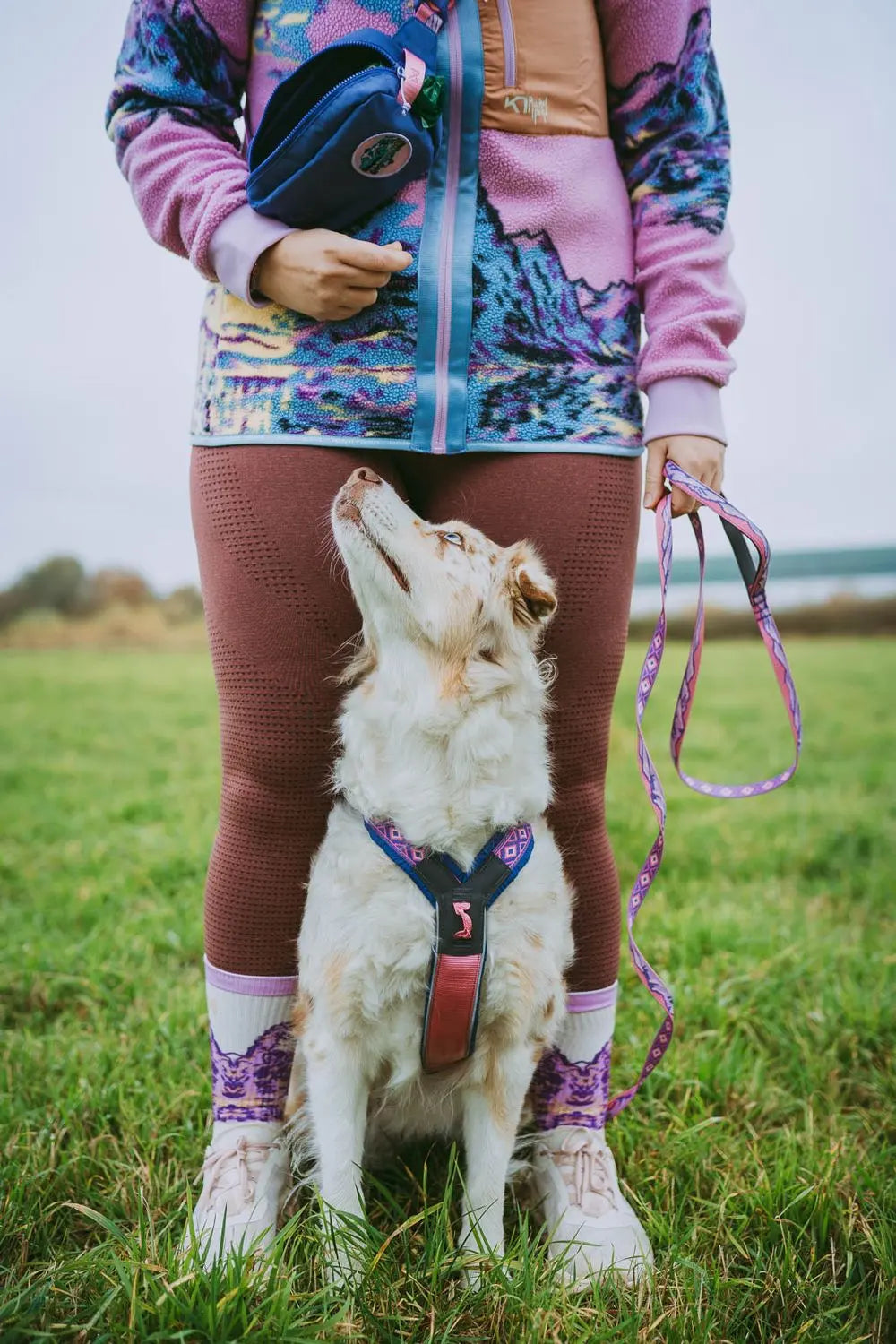 Y-harness Rachel Pohl Line 5.0 edition | Pink and Purple 