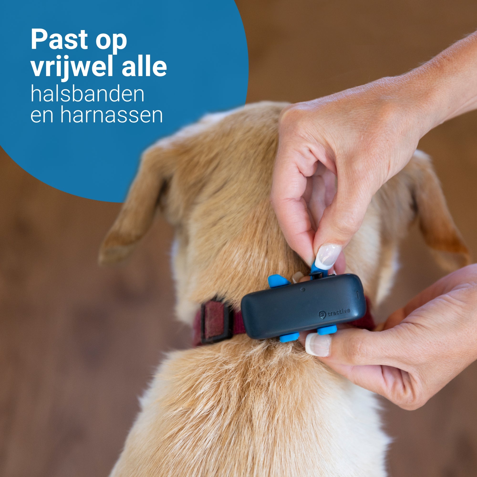 Tractive GPS-Hundetracker DOG 4 | Dunkelblau