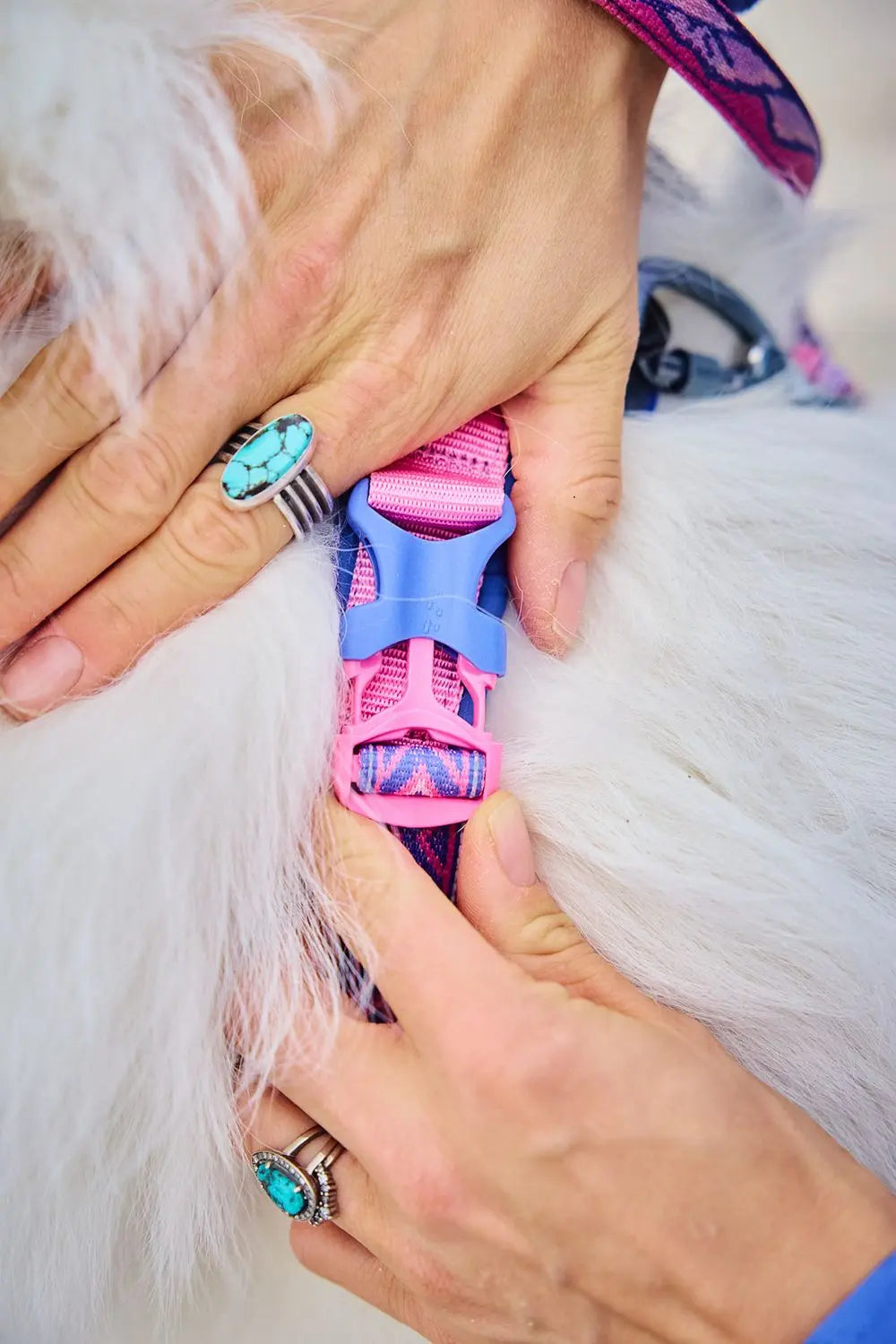 Y-harness Rachel Pohl Line 5.0 edition | Pink and Purple 