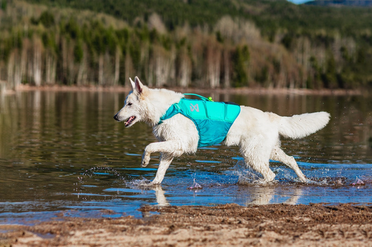 Zwemvest Hond | Protector Life Jacket Teal