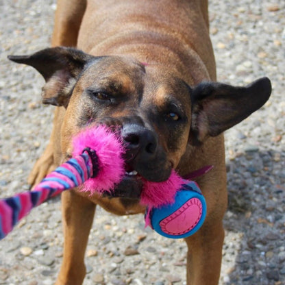 Hond speelt met Tug-e-Nuff Fauxtastic Powerball Bungee Tug (65cm) kleur roze