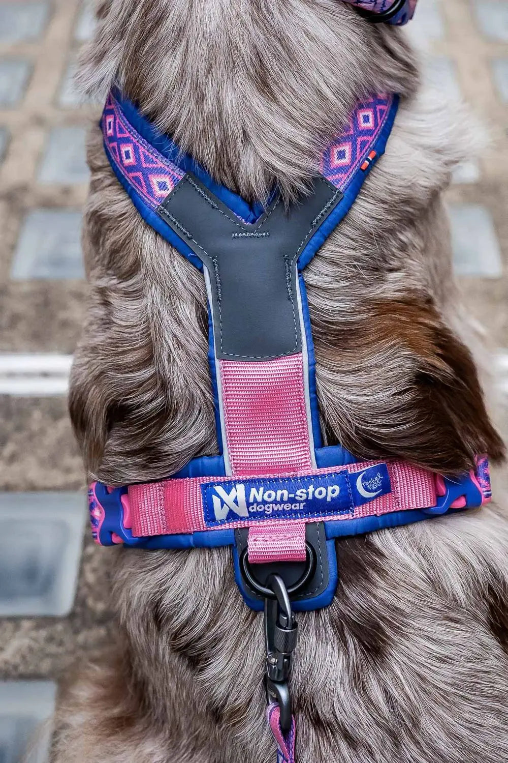 Y-harness Rachel Pohl Line 5.0 edition | Pink and Purple 