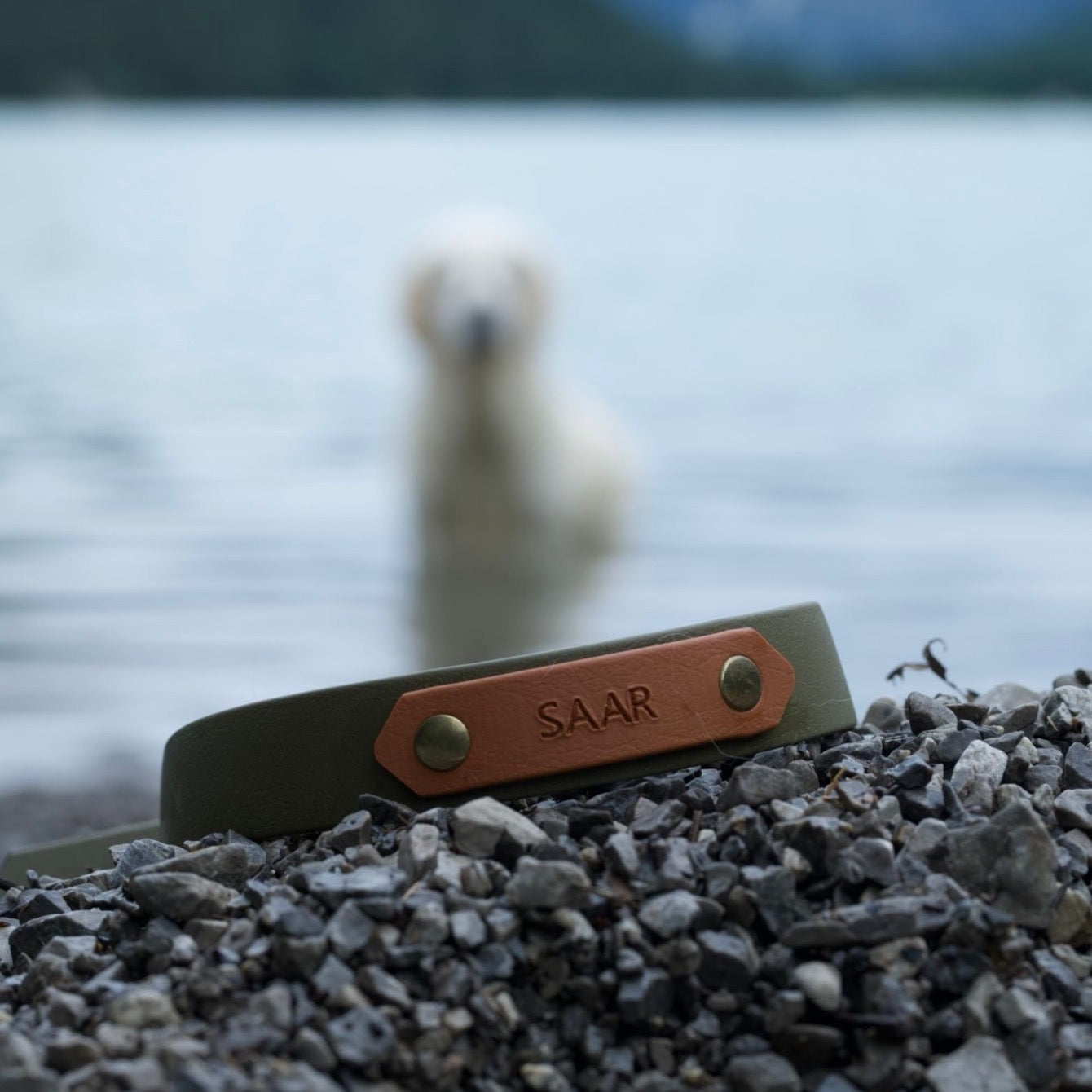Dog collar with nameplate BioThane | Lexie