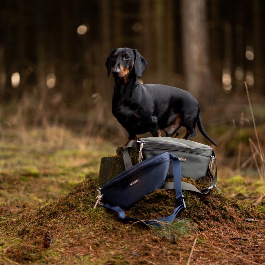 Dog Hip Bag | Dark Blue