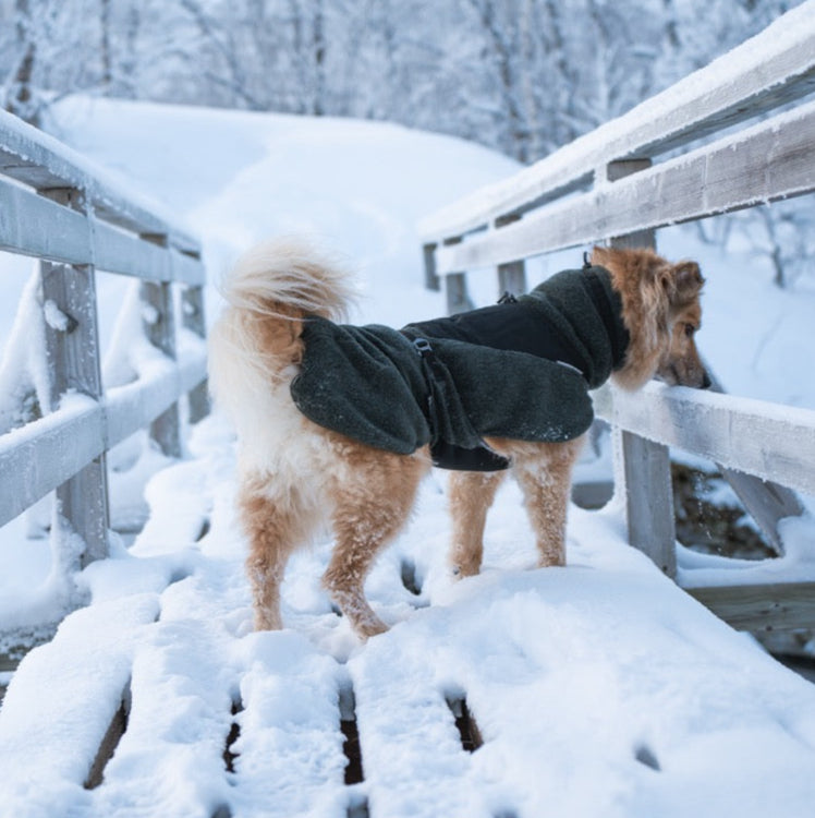 Hondenpullover Wol | Groen/Zwart