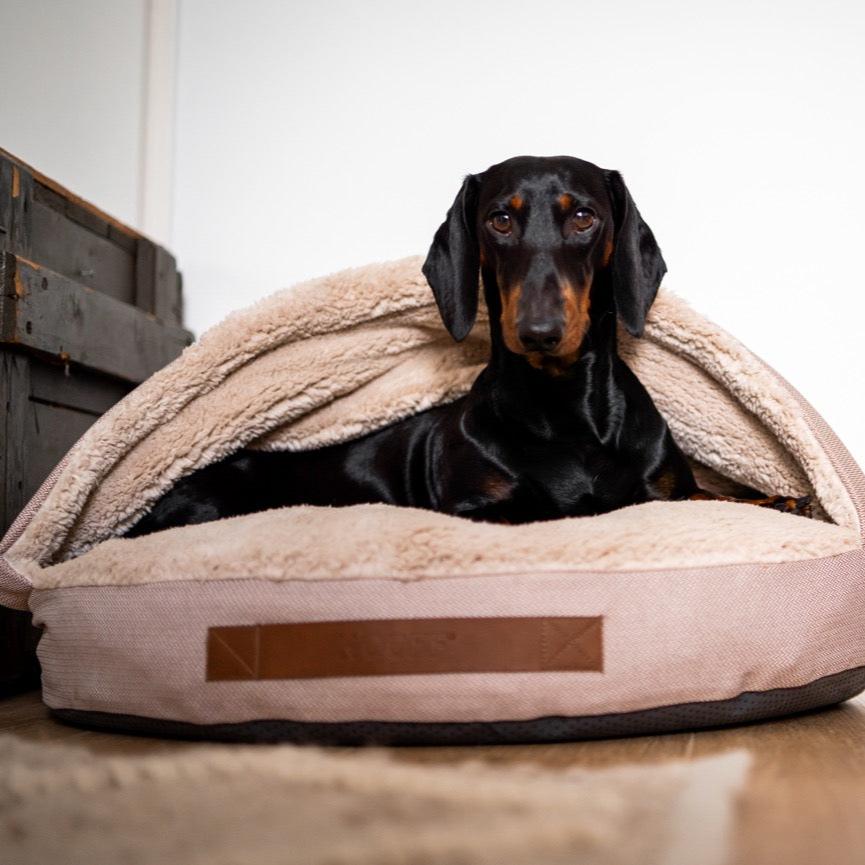 Dog Cave | Beige and Offwhite