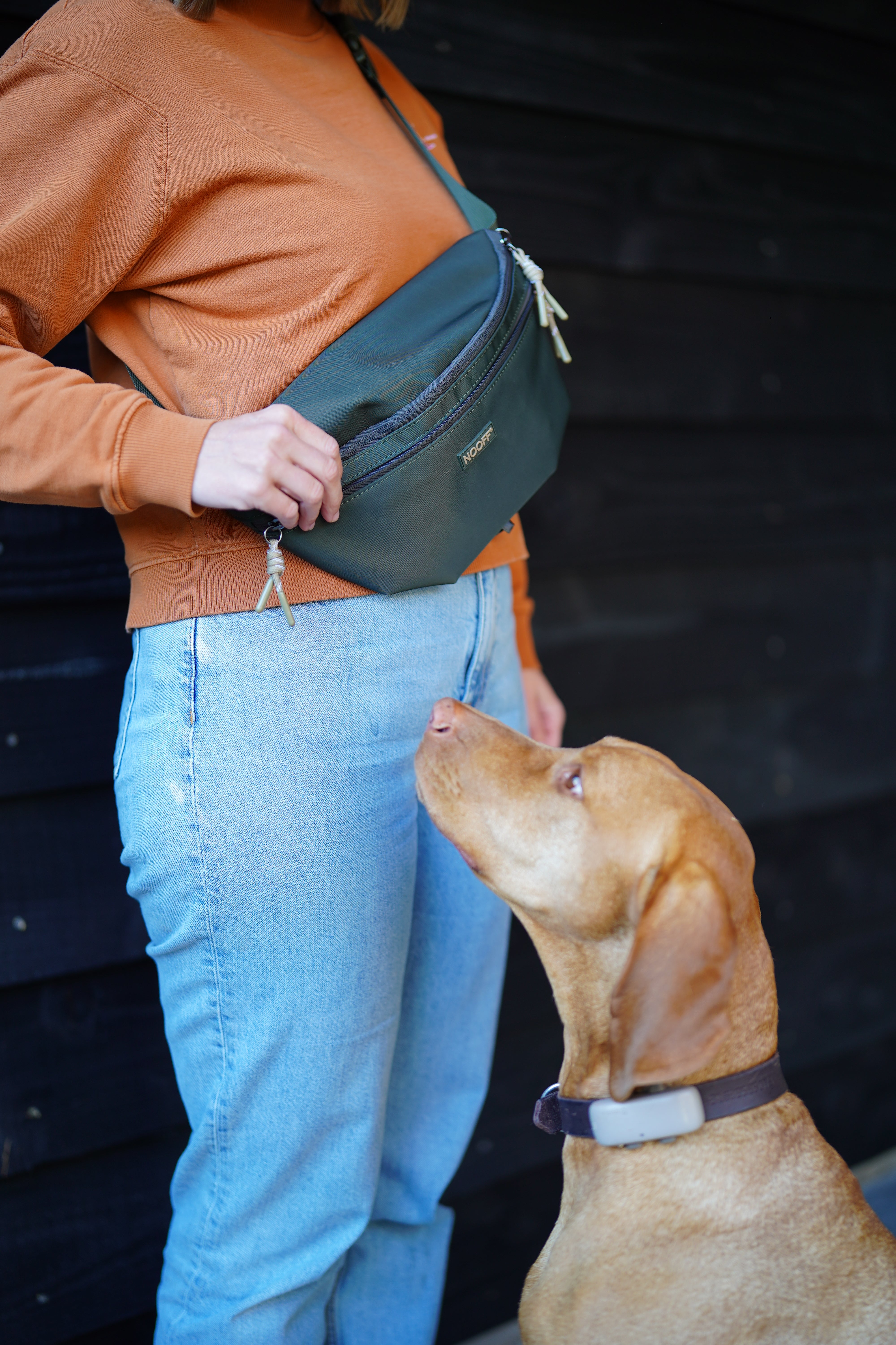 Dog Hip Bag | Olive Green