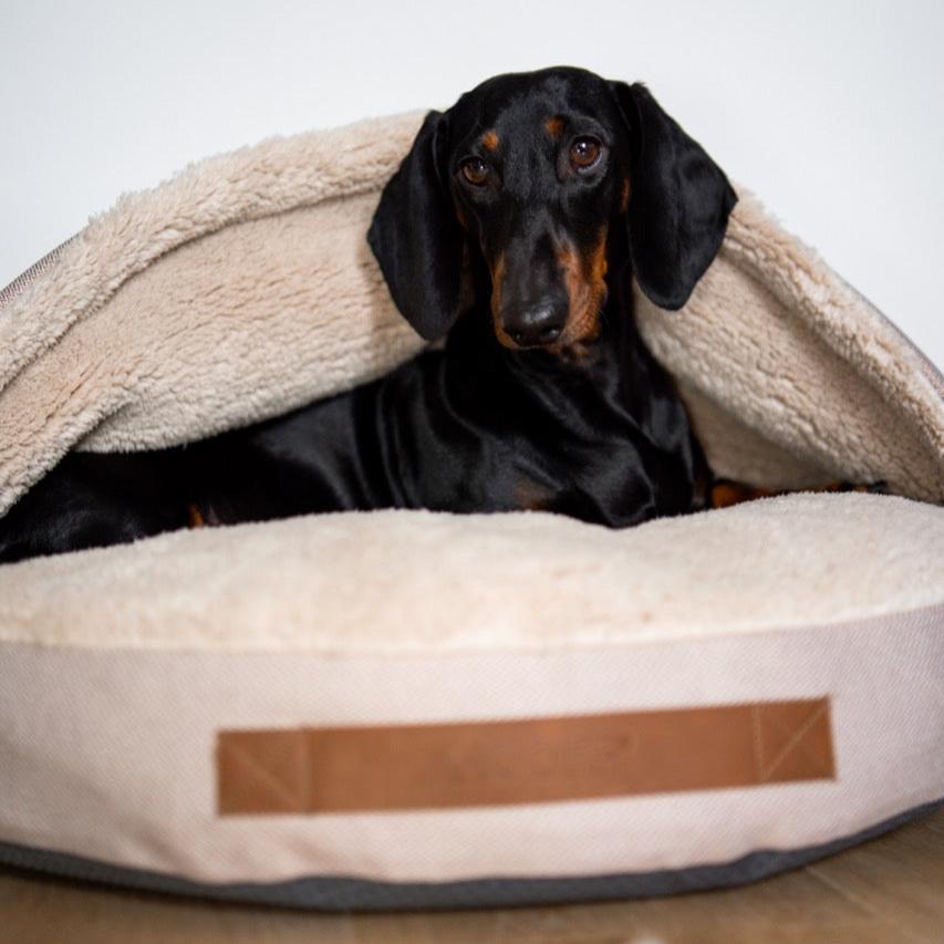 Dog Cave | Beige and Offwhite