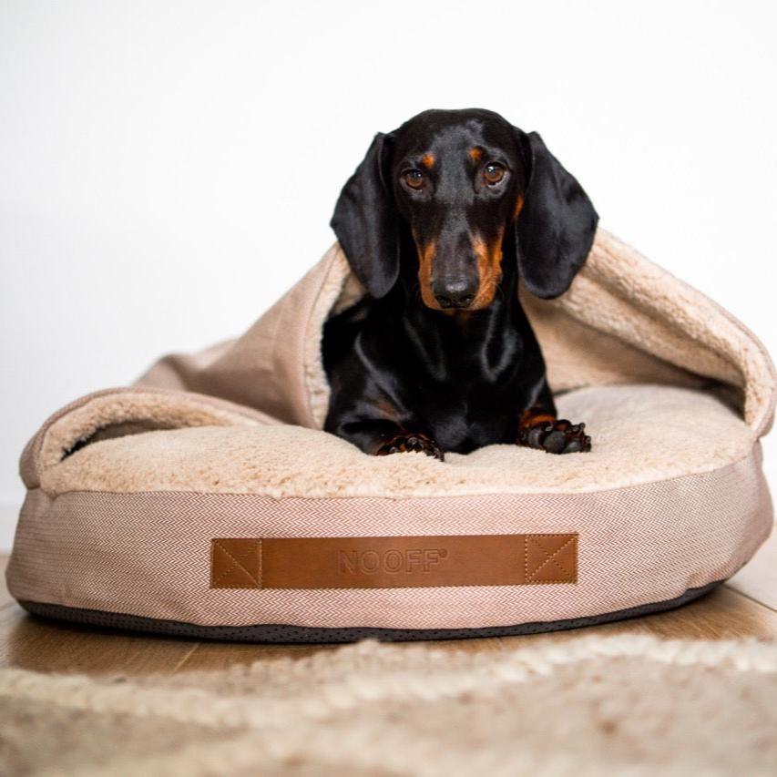 Dog Cave | Beige and Offwhite