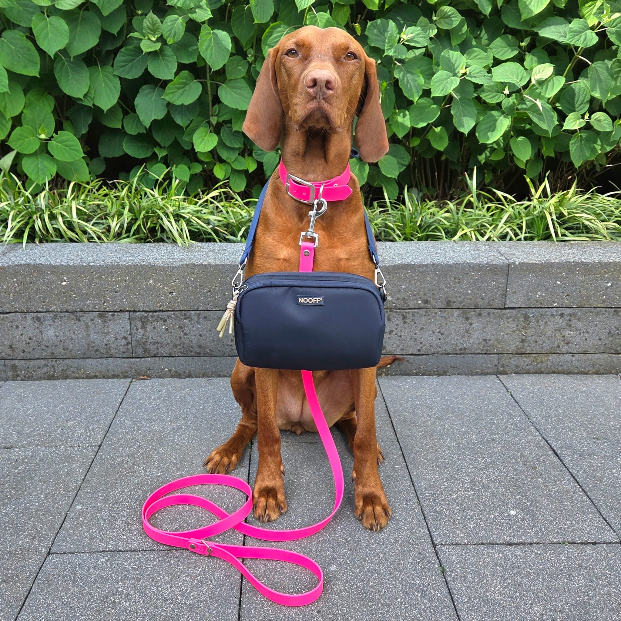 Dog Reward Bag | Dark Blue