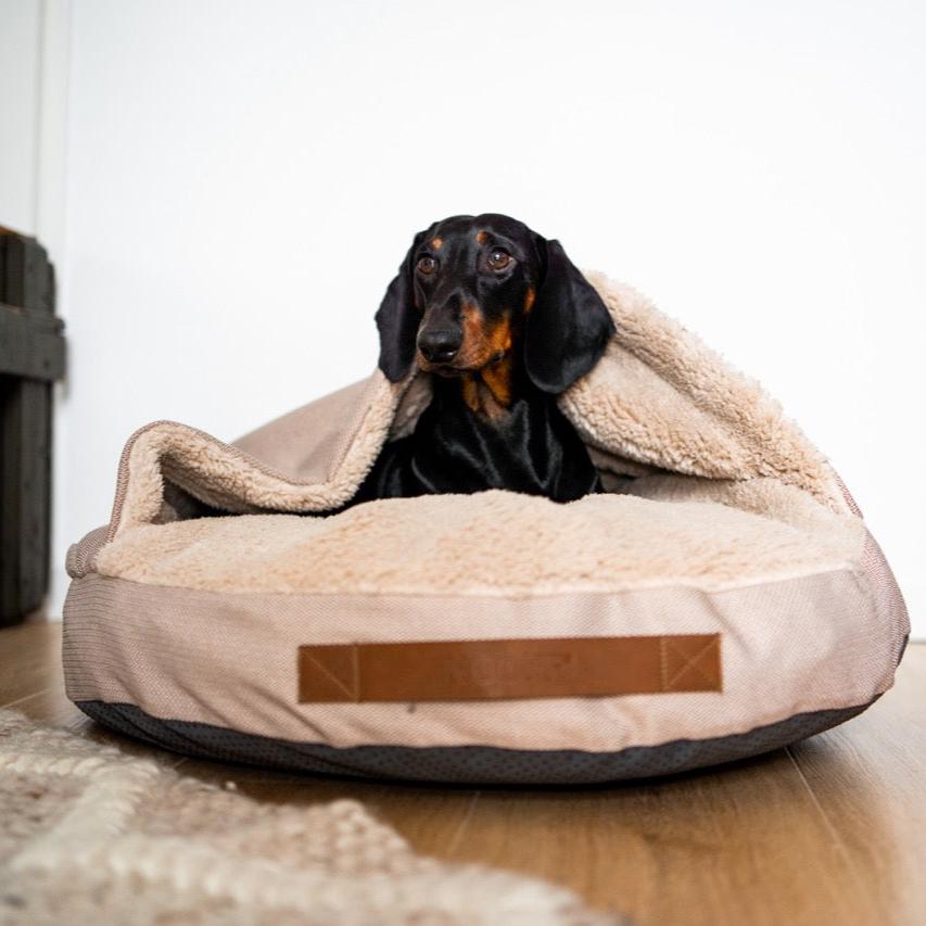 Dog Cave | Beige and Offwhite