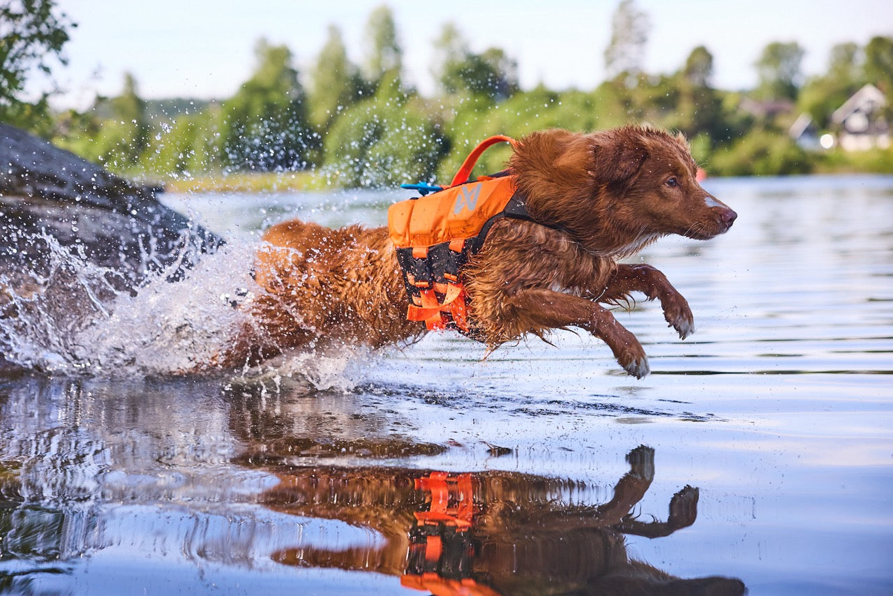 Schwimmweste Hund | Protektor-Rettungsweste Orange/Schwarz