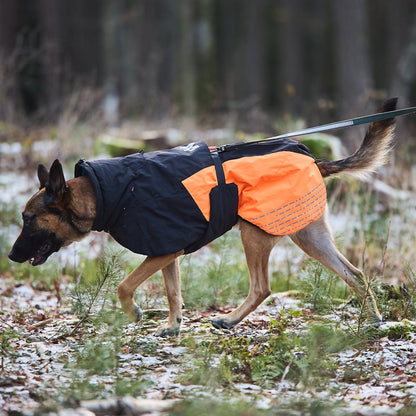 Mechelse Herder draagt Non-stop Dogwear Honden Winterjas Glacier 2.0 Oranje/Zwart