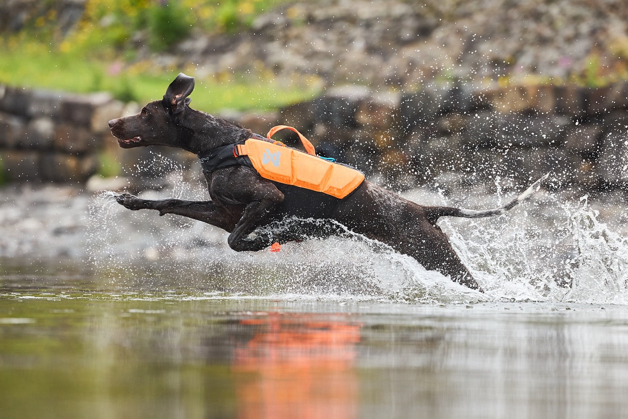 Schwimmweste Hund | Protektor-Rettungsweste Orange/Schwarz