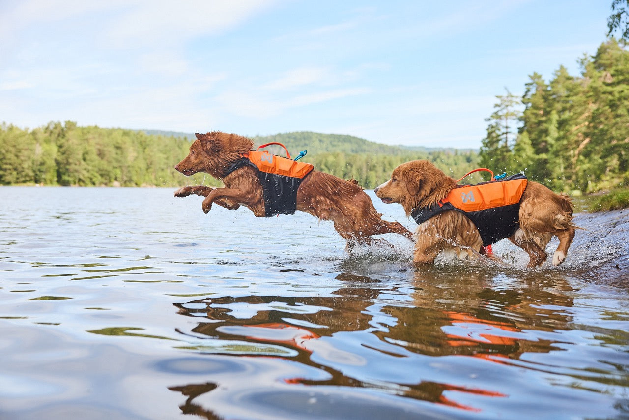 Schwimmweste Hund | Protektor-Rettungsweste Orange/Schwarz