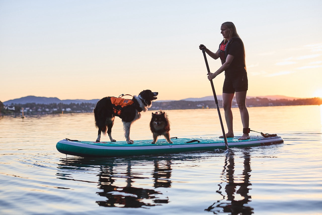 Schwimmweste Hund | Protektor-Rettungsweste Orange/Schwarz