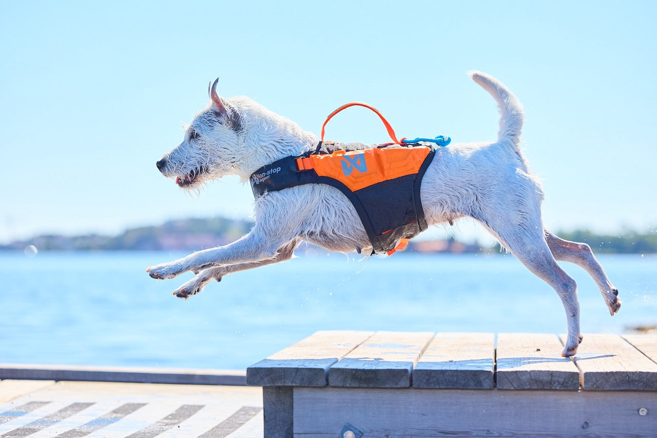 Schwimmweste Hund | Protektor-Rettungsweste Orange/Schwarz