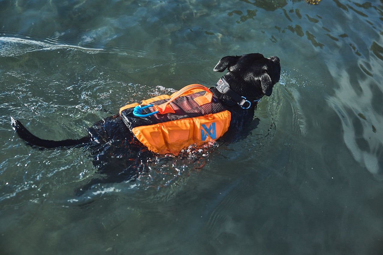 Schwimmweste Hund | Protektor-Rettungsweste Orange/Schwarz
