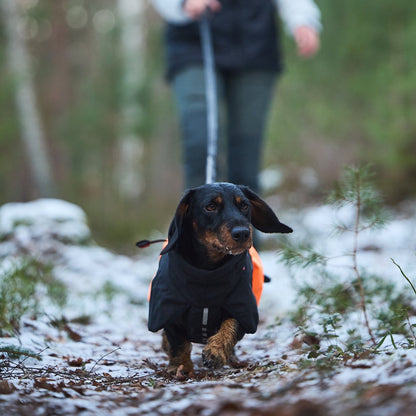 Teckel draagt Non-stop Dogwear Honden Winterjas Glacier 2.0 Oranje/Zwart