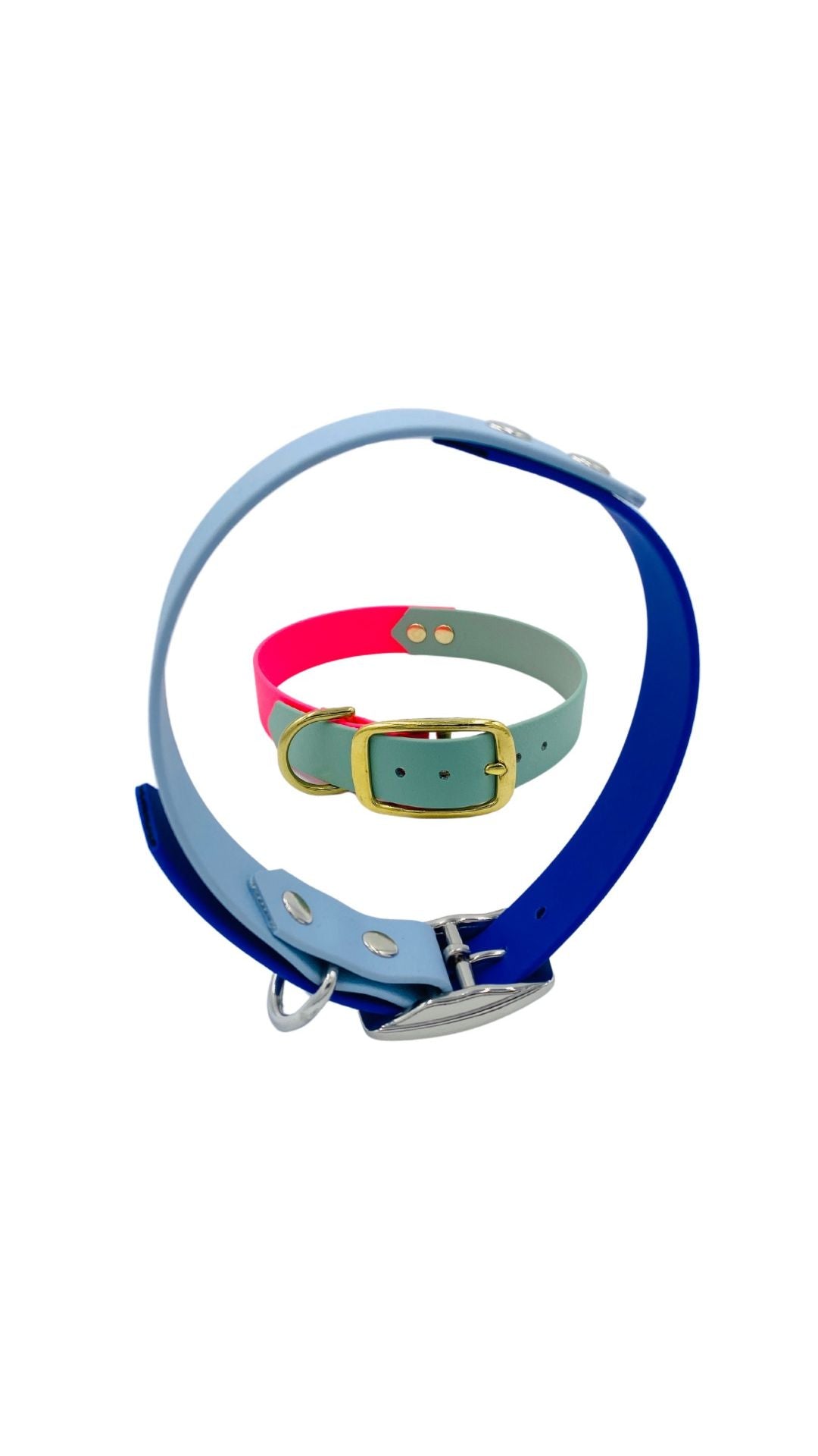 Dog collar with name BioThane | Pippa