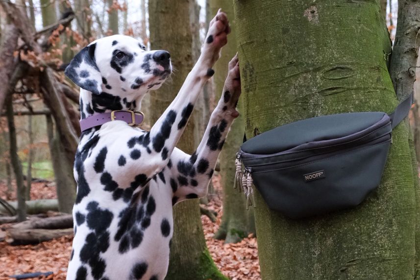 Dog Hip Bag | Olive Green