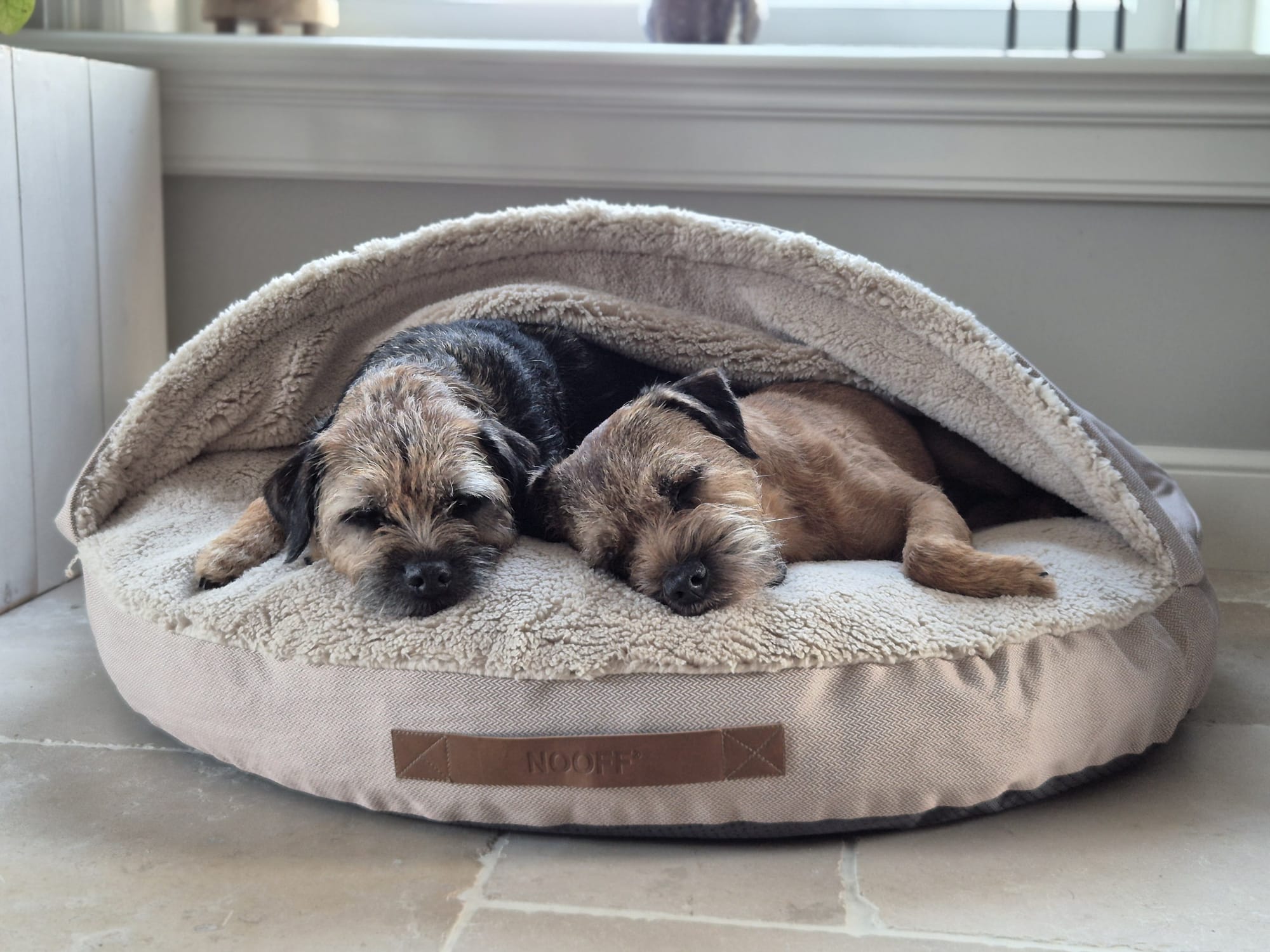 Dog Cave | Beige and Offwhite