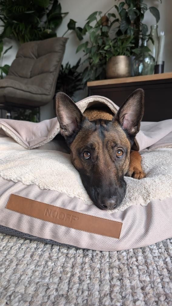 Lose Outdoor-Abdeckung für Hundehöhle | Beige und Offwhite