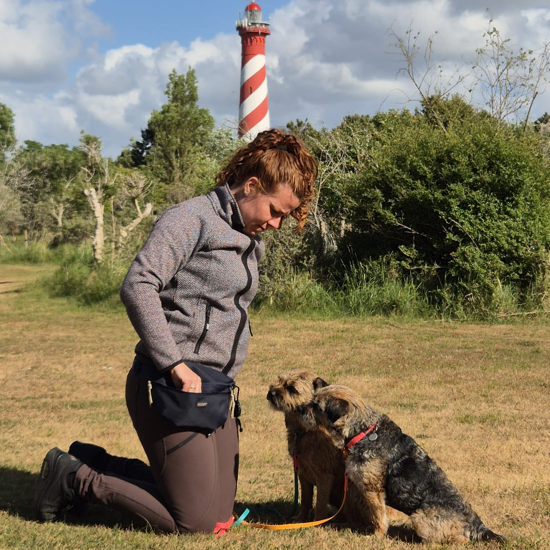 Hunde-Hüfttasche mit separatem Snackfach | Dunkelblau