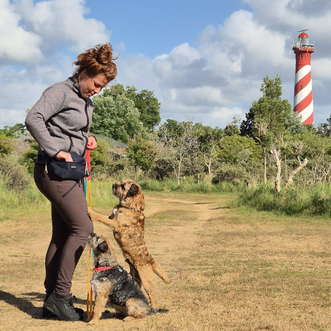 Heuptasje Hond | Waterafstotend | Uitneembaar snackvak | Donkerblauw