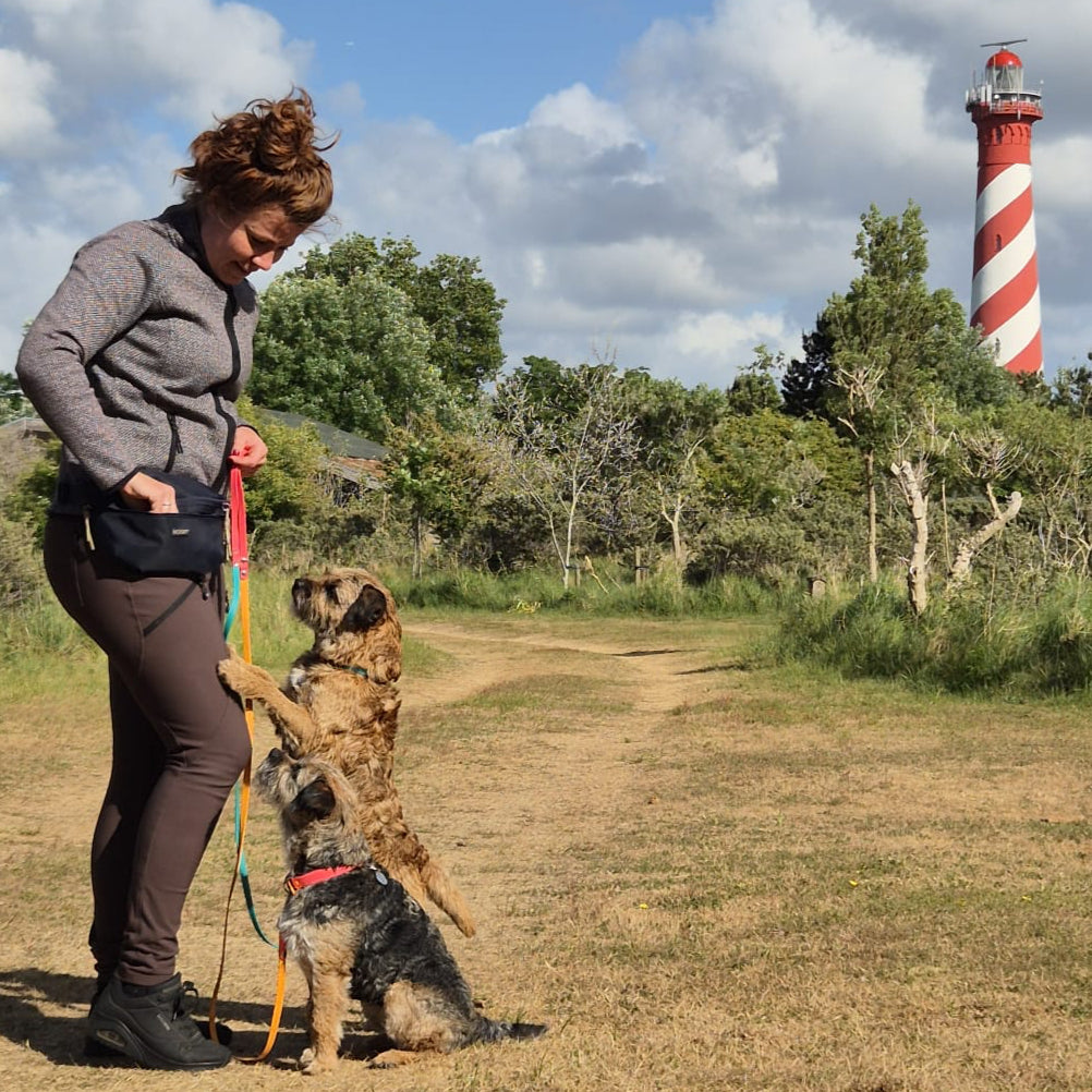 Hunde-Hüfttasche mit separatem Snackfach | Dunkelblau