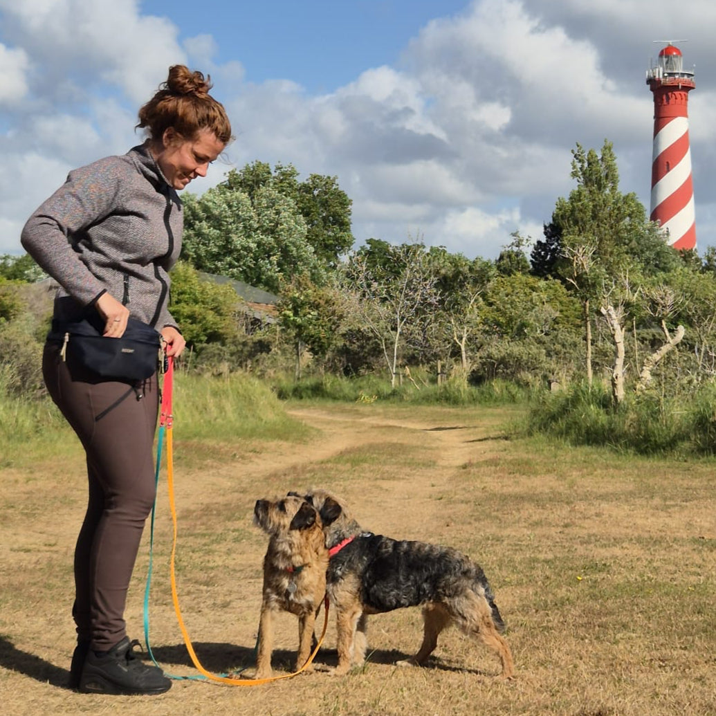 Hunde-Hüfttasche mit separatem Snackfach | Dunkelblau