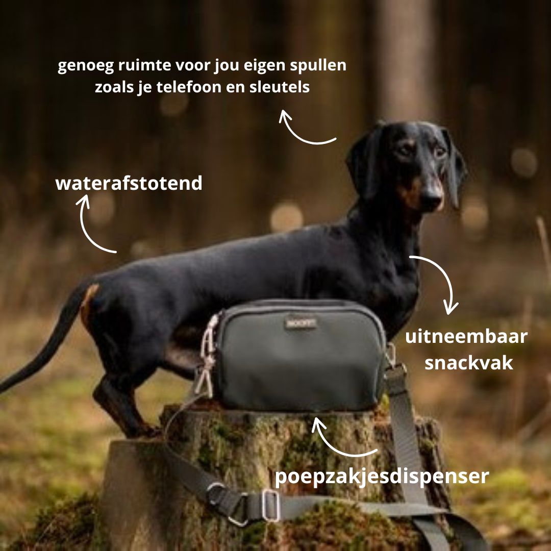 Dog Treat Bag | Olive Green