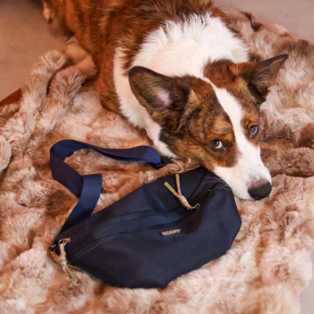 Dog Hip Bag | Dark Blue