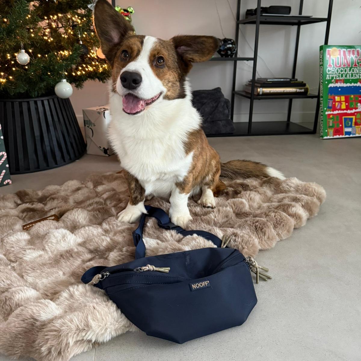 Dog Hip Bag | Dark Blue