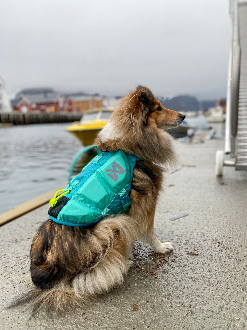 Zwemvest Hond | Protector Life Jacket Teal