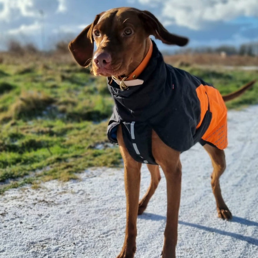Vizsla Non-stop dogwear hondenwinterjas voorzijde