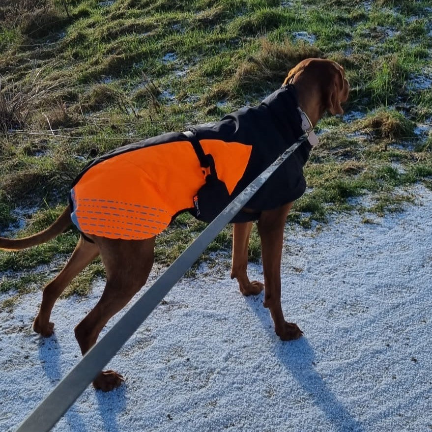 Vizsla met Non-stop dogwear hondenwinterjas