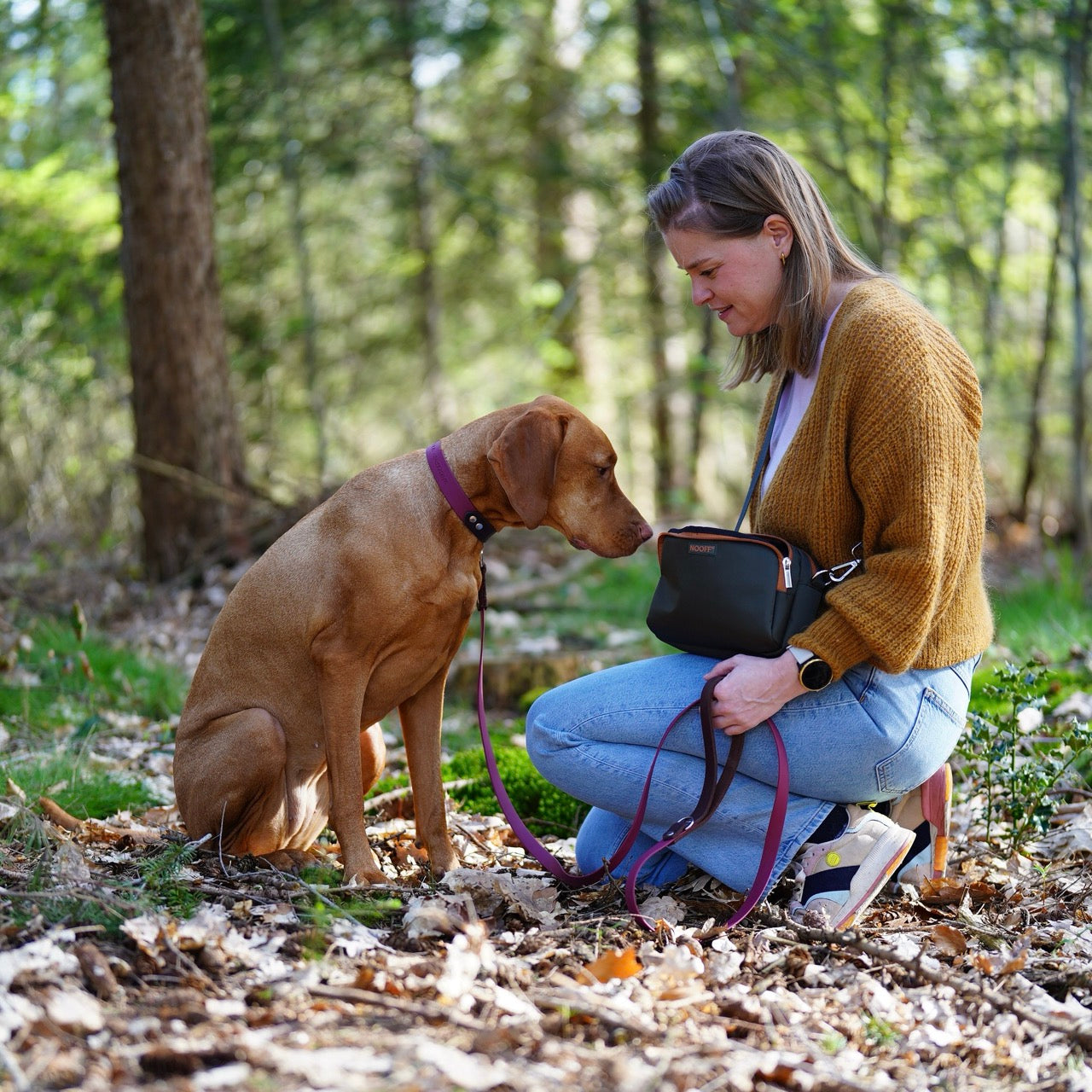 beloningstasje hond waterproof vizsla