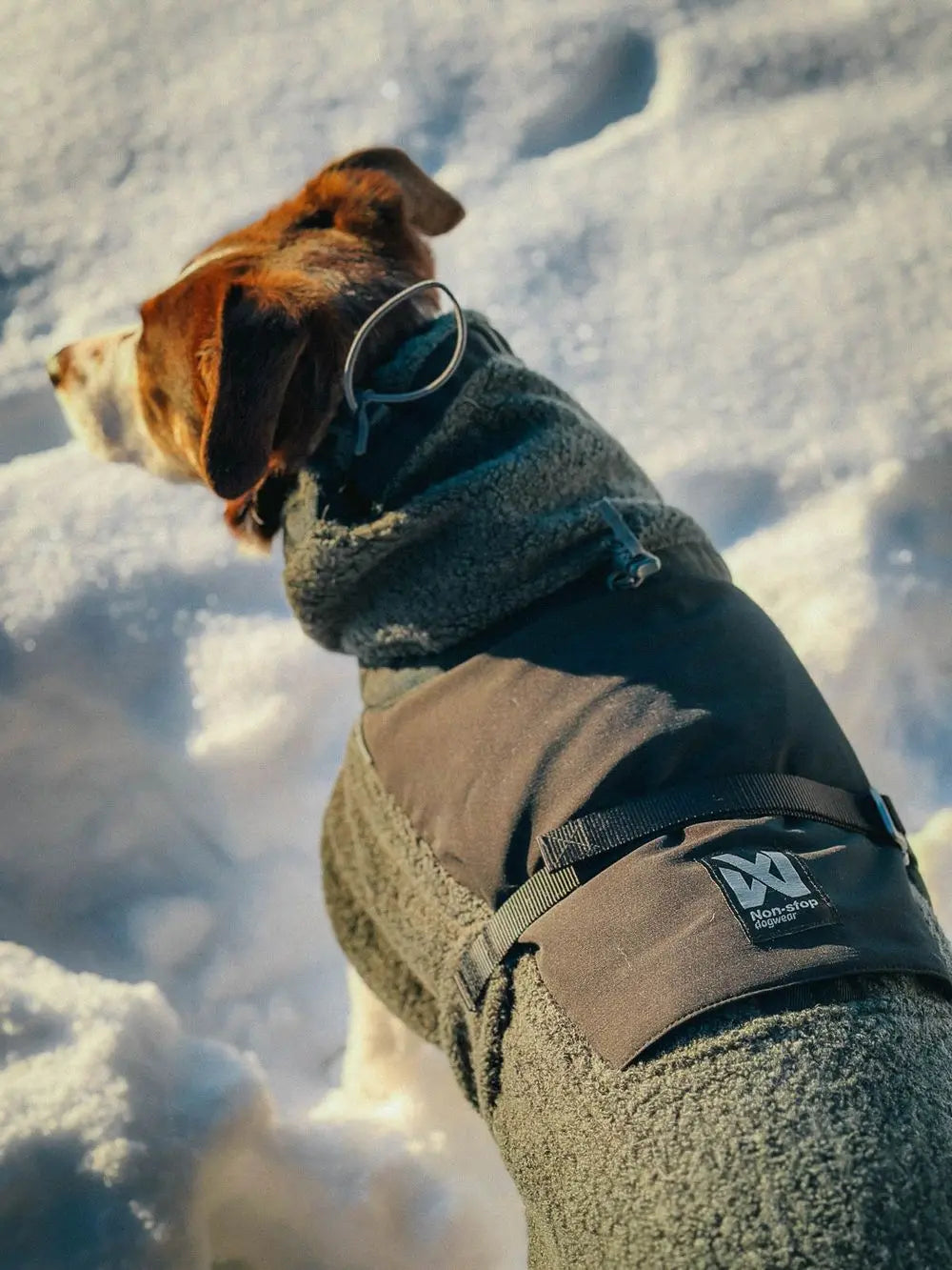 Hondenpullover Wol | Groen/Zwart