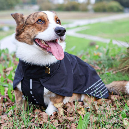 Corgi draagt Non-stop Dogwear regenjas Fjord in de kleur zwart