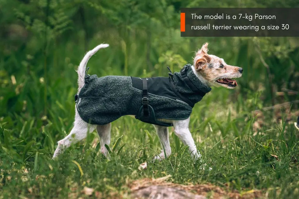 Hondenpullover Wol | Groen/Zwart