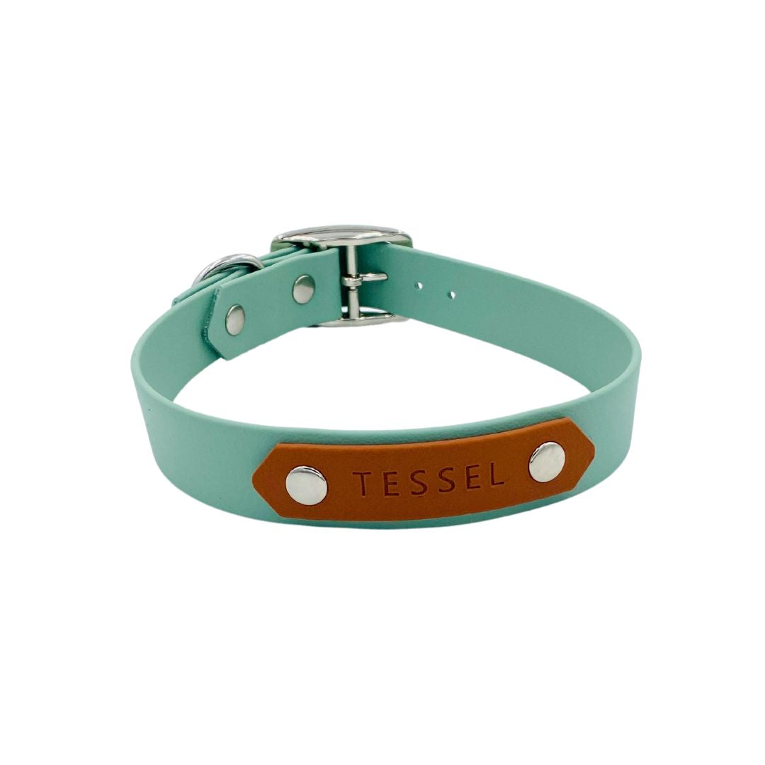 Halsband met naamplaat BioThane sage en cognac
