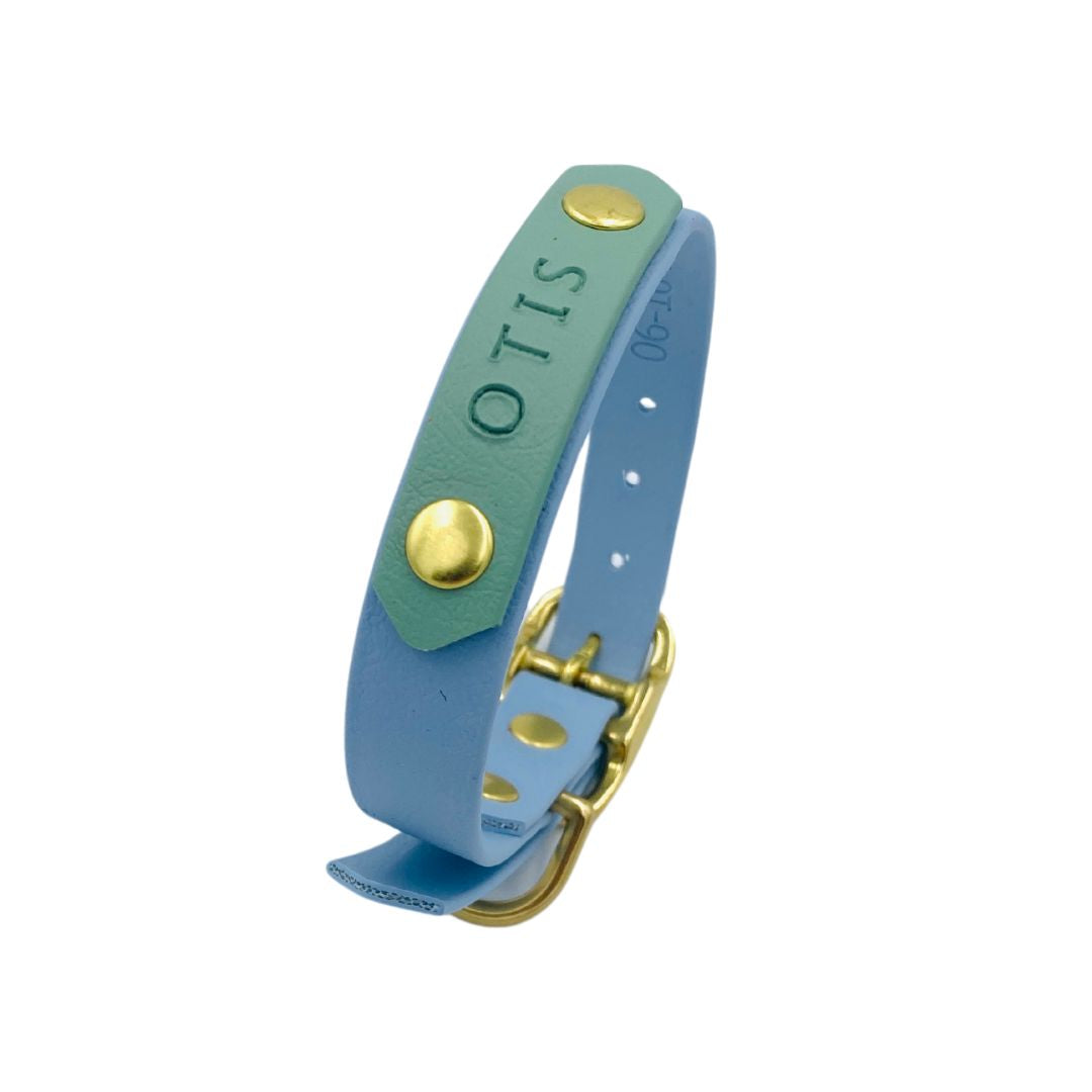 Halsband met naamplaat BioThane in pastelblauw en sage