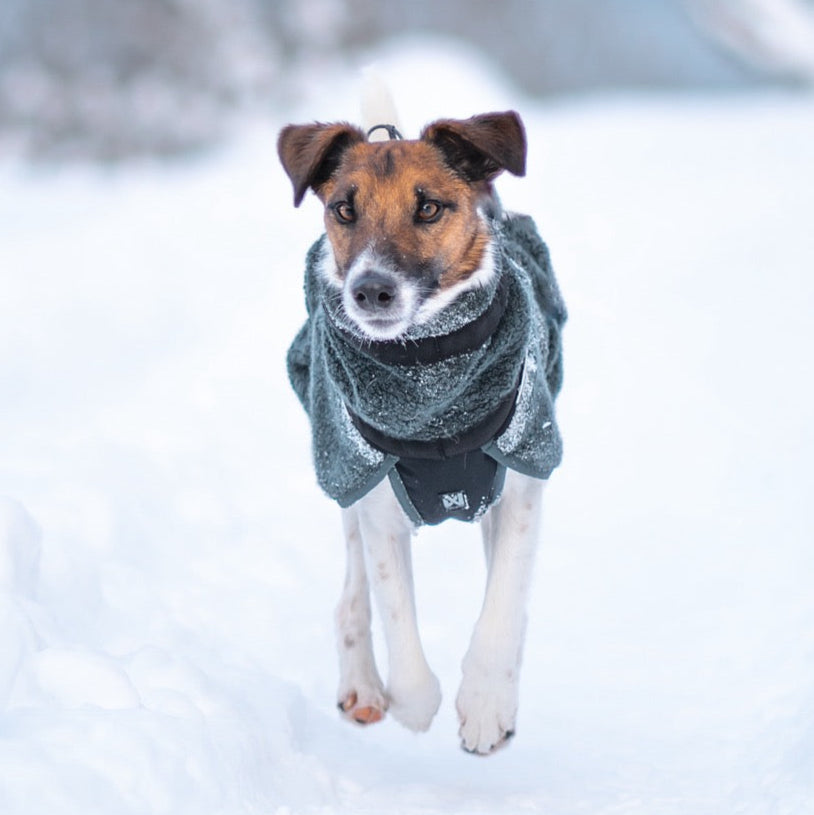 Hondenpullover Wol | Groen/Zwart