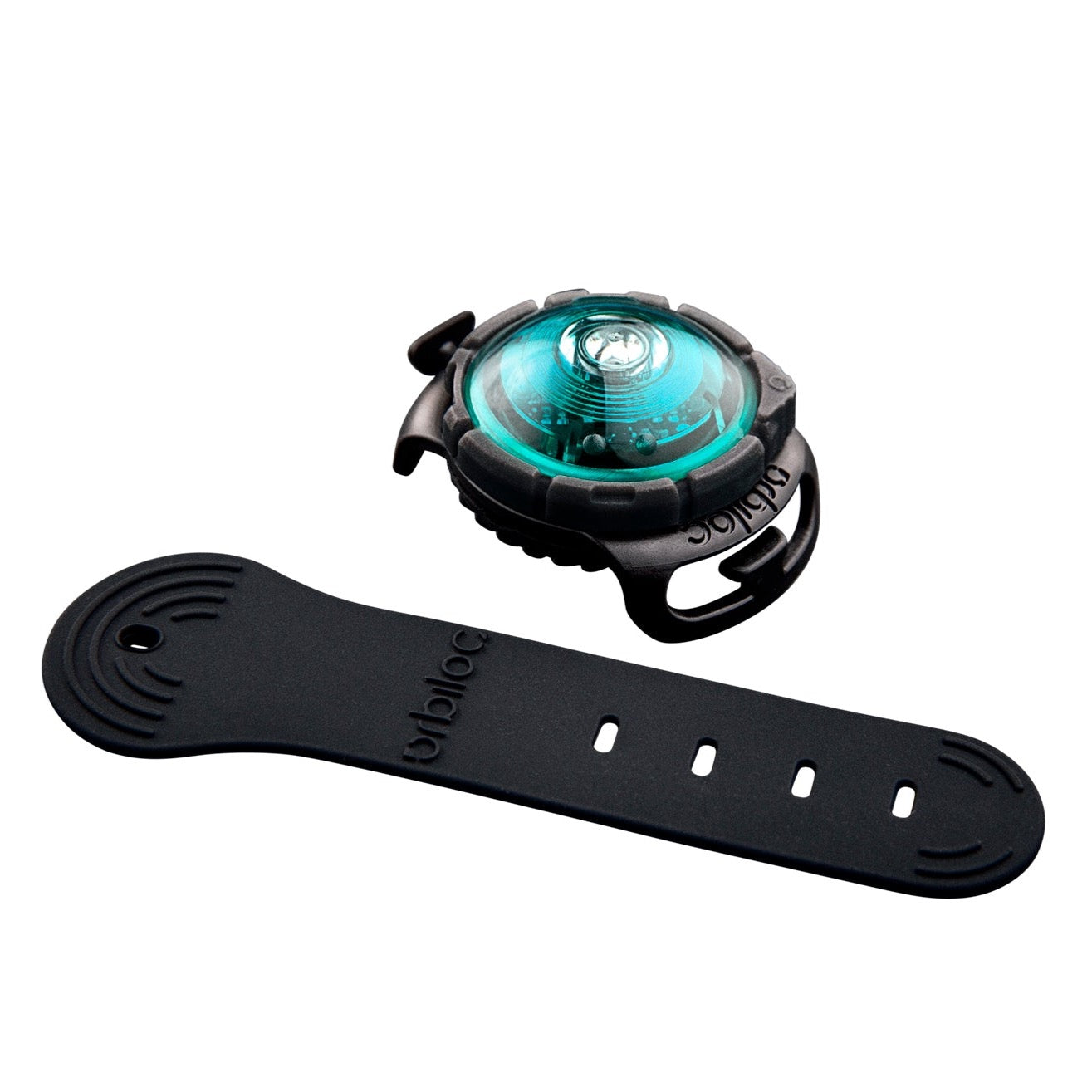Orbiloc is de beste hondenverlichting kleur turquoise