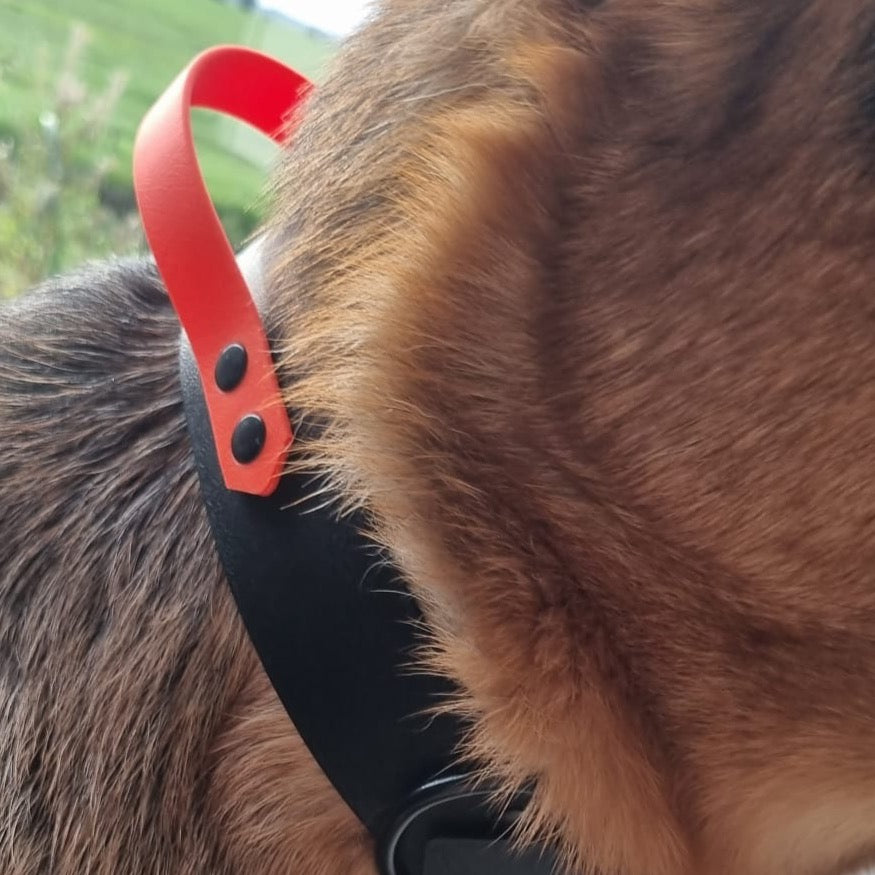 Dog collar BioThane with handle | Dex