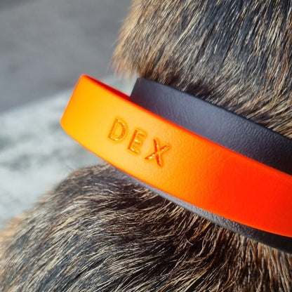Hundehalsband BioThane mit Griff | Dex